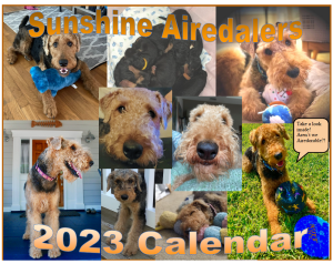 2023 SAF Calendar