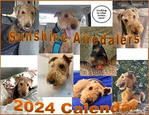Sunshine Airedalers 2024 Calendar