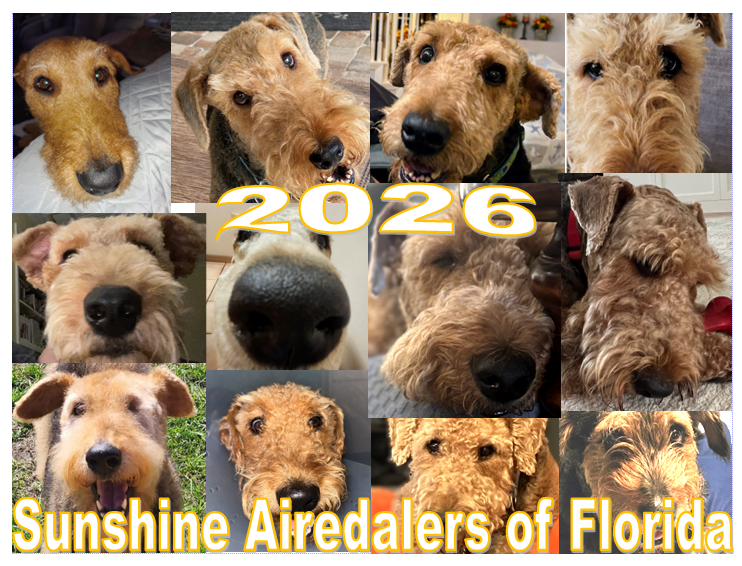 2026 Calendar